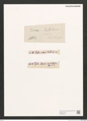 Diatomeae indet. Zeichnungen Sammlung Grunow (NHMW-BOT-W0368480)